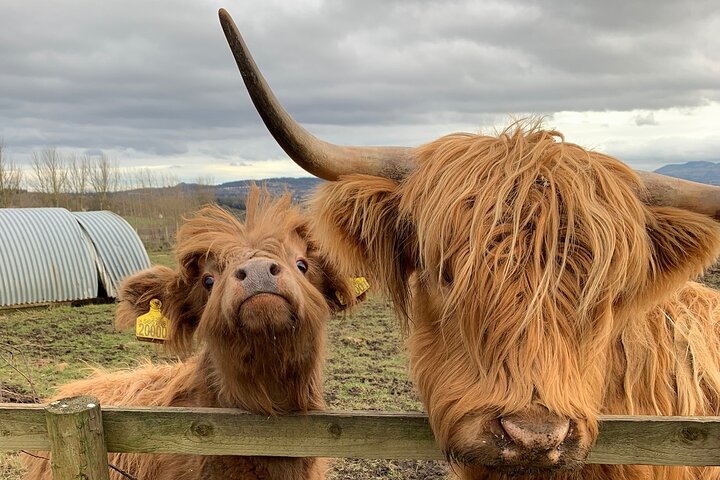 Private Tour of the Highlands from Edinburgh - Image 1