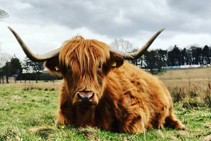 Rob Roy,Mary Queen Of Scots,Castles,Highlands,Lochs,Trossachs,Whisky! - Image 1