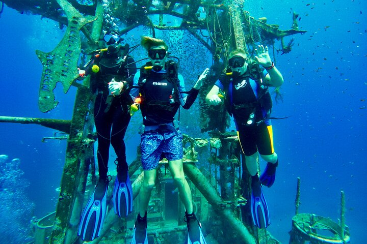 Private Scuba Diving Tour with Transportation and Guide  - Image 4