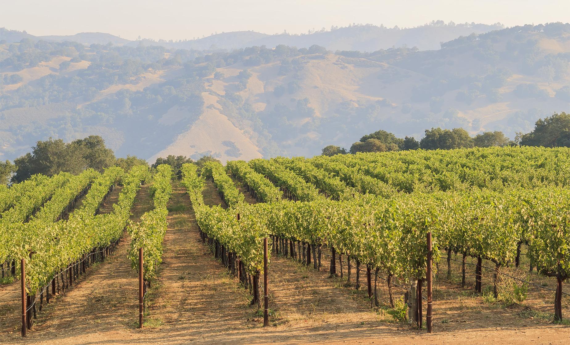 Calafia Valley Wine Country - Image 1