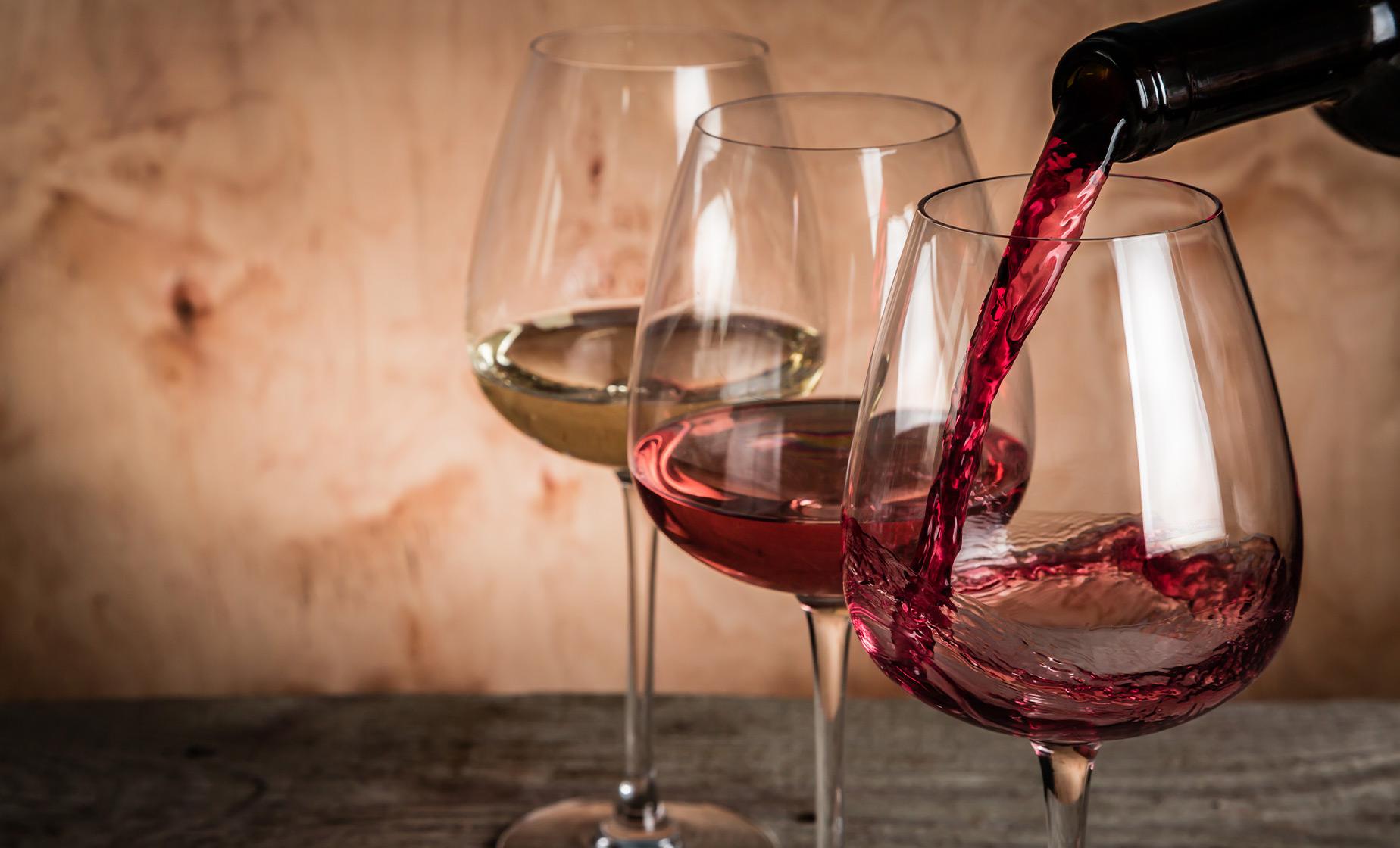 Exclusive Wine Tasting with Lunch - Image 1