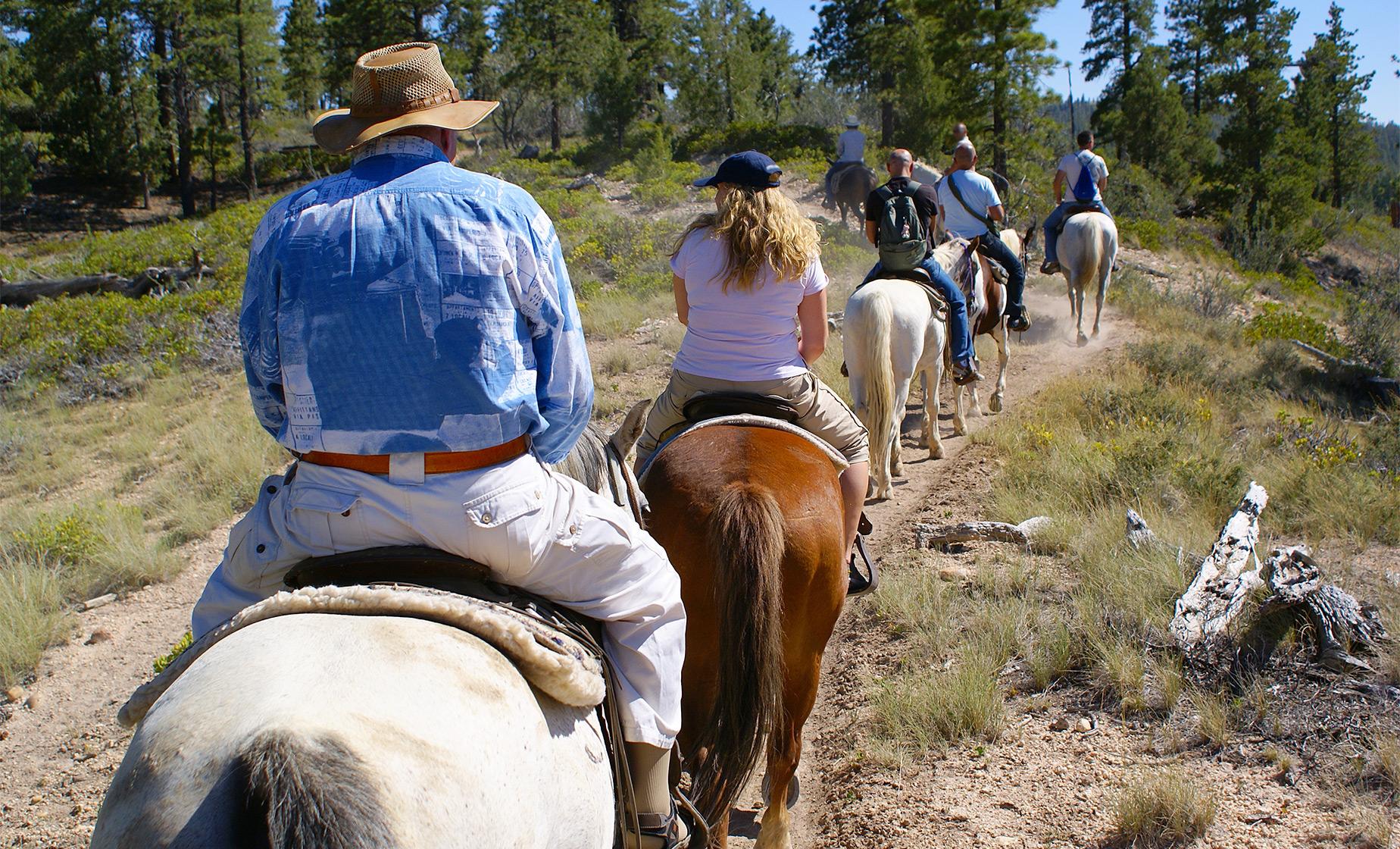 Mountain Horse Back Ride Adventure - Image 1