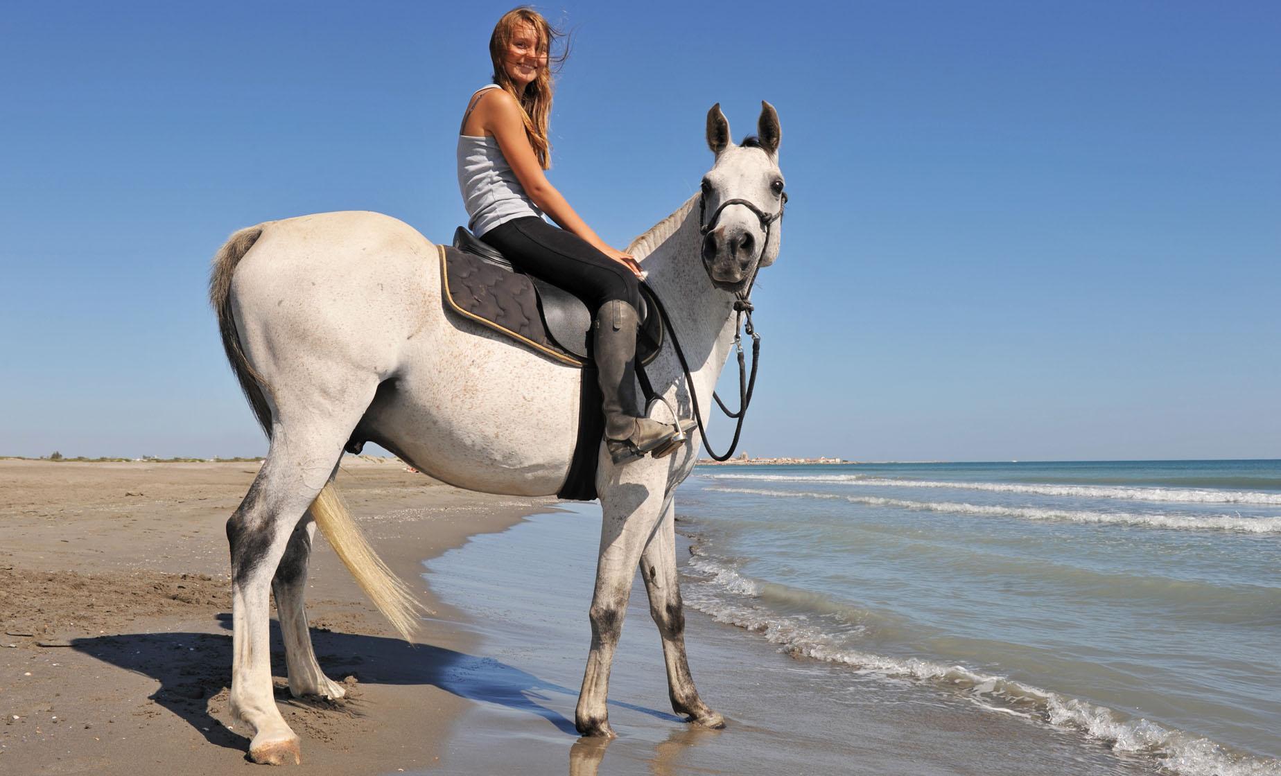 Beach Horseback Ride - Image 1