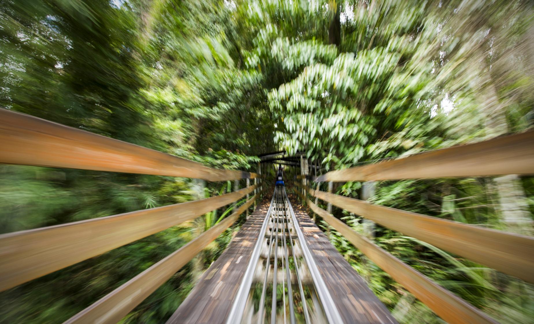 Bobsled with Dunn's River Falls Combo - Image 1