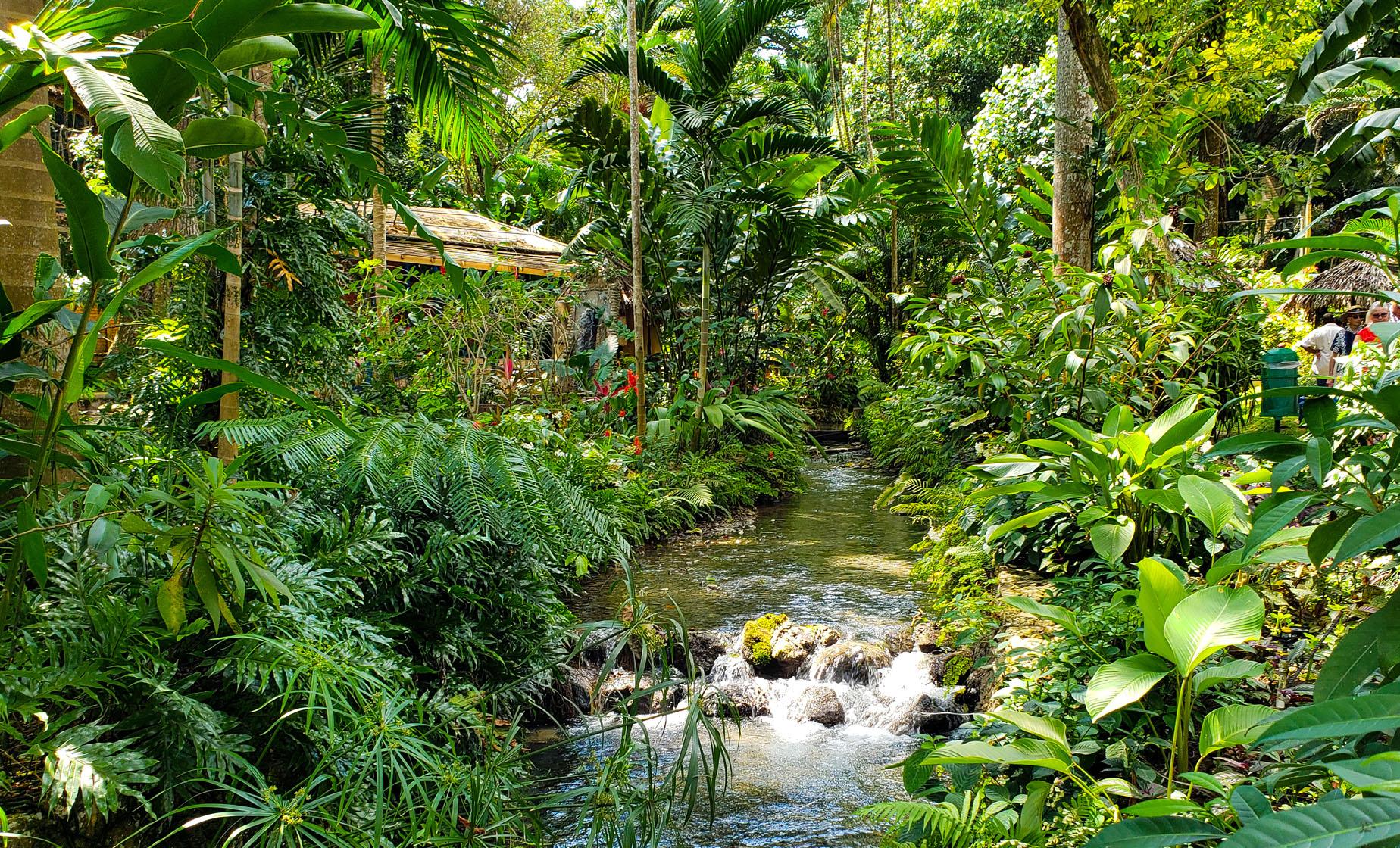 Konoko Falls - Image 1