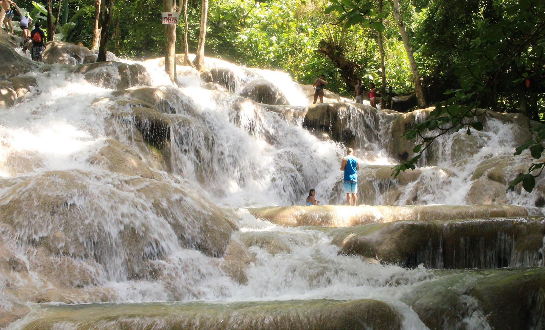 Private Dunn's River Falls and Area Highlights - Image 1