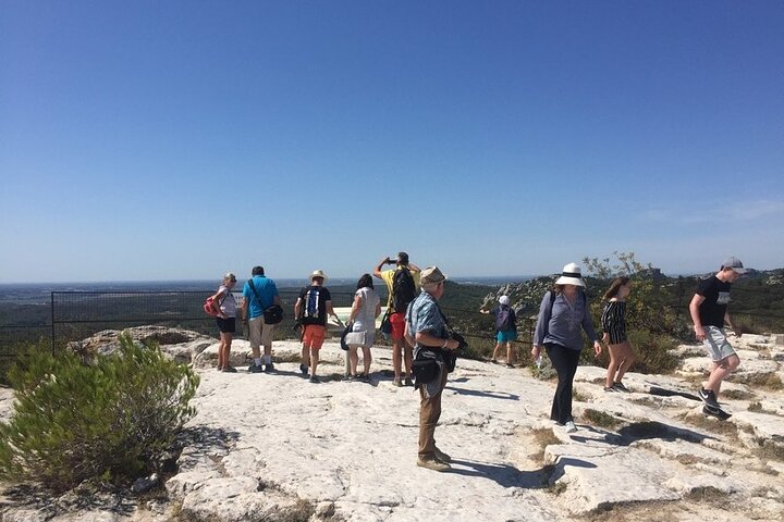 Arles and Les Baux-de-Provence Private Tour - Image 4