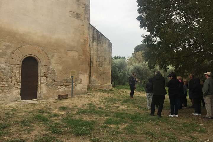 Arles and Les Baux-de-Provence Private Tour - Image 3