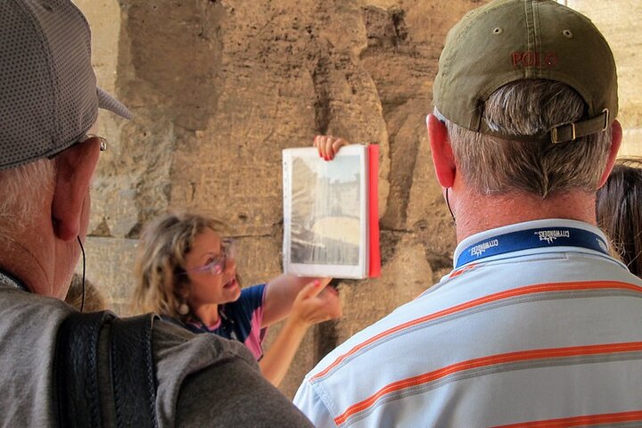 Arles and Saint-Rémy-de-Provence Private Tour - Image 1