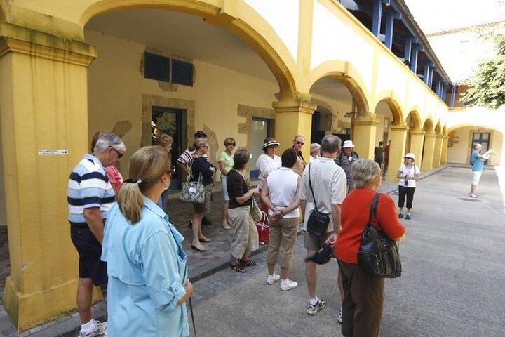 Arles and Saint-Rémy-de-Provence Private Tour - Image 4