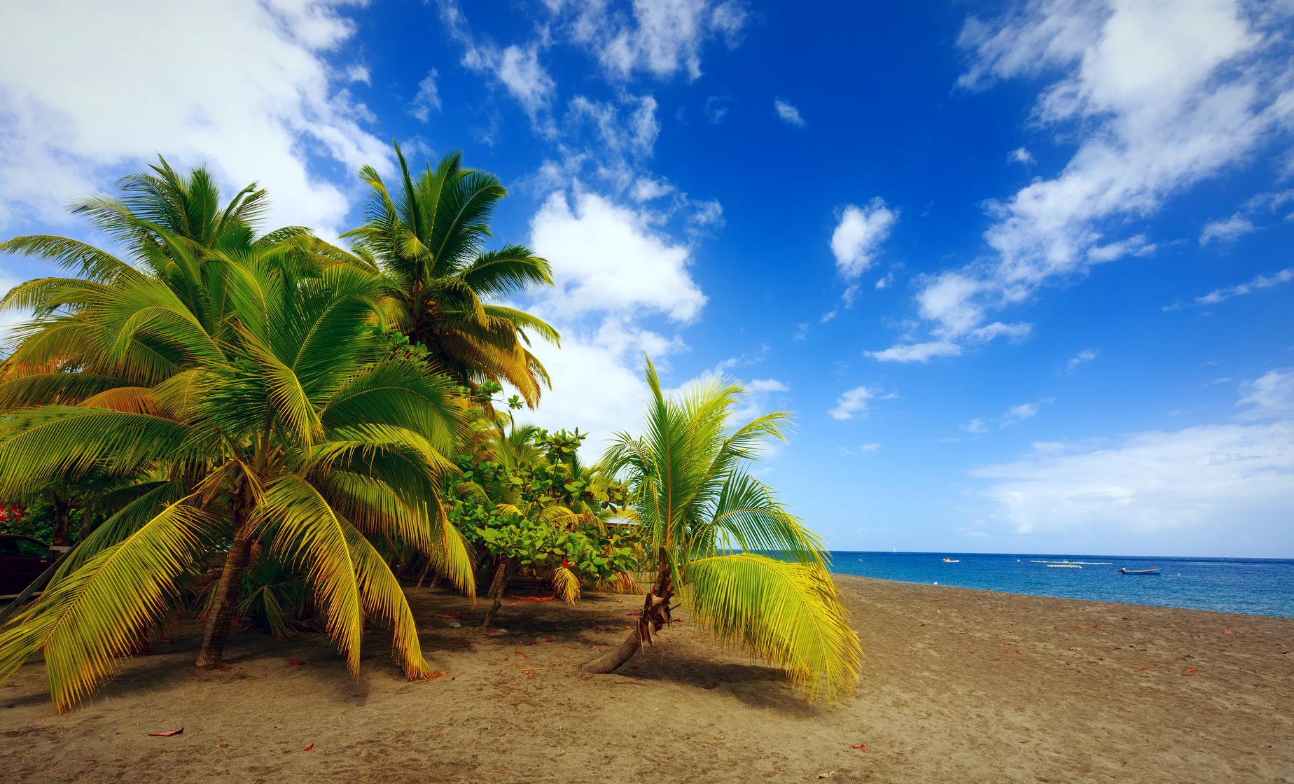 North Island Tour - Image 1