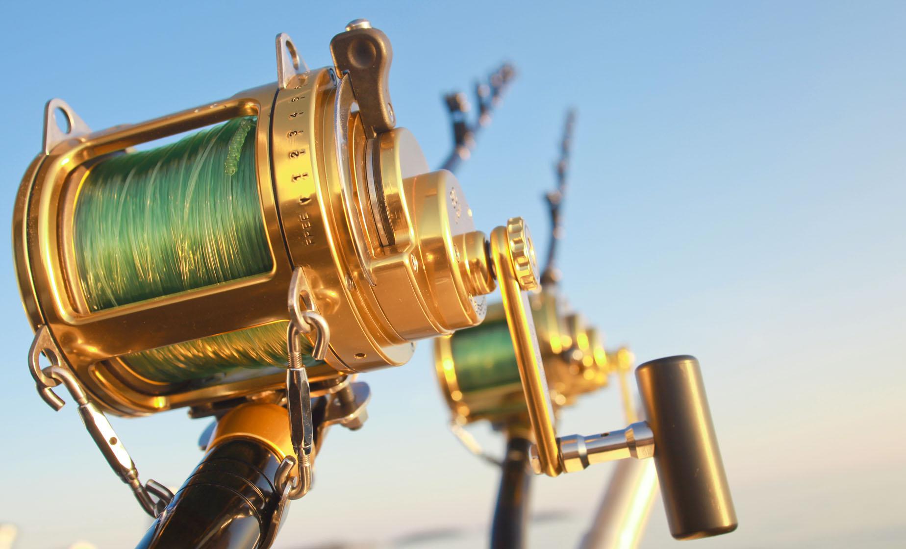 Atlantic Deep Sea Fishing Trip - Image 1