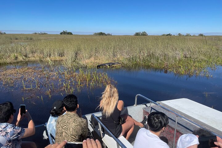 Everglades Airboat Experience  - Image 3