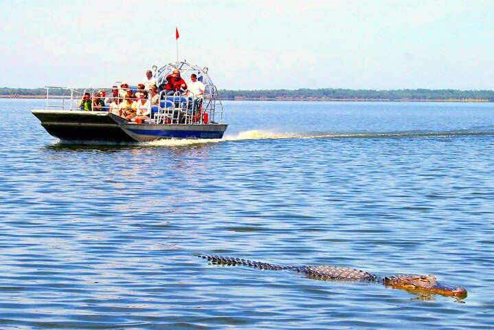 Everglades Airboat Experience  - Image 1