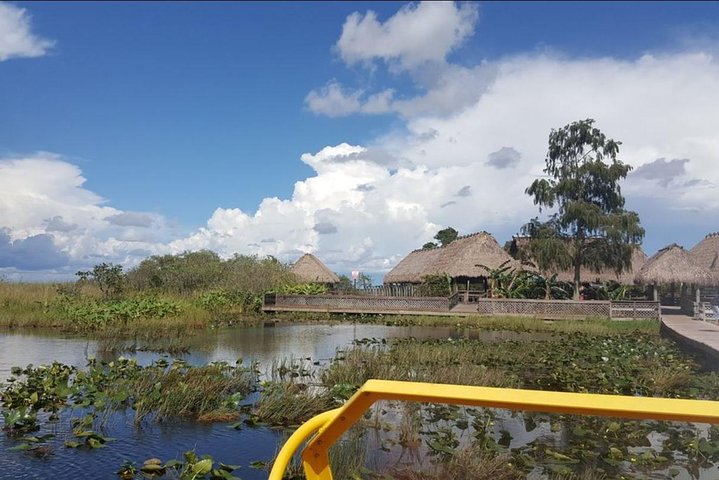 Everglades National Park Biologist Led Adventure: Cruise, Hike + Airboat - Image 4