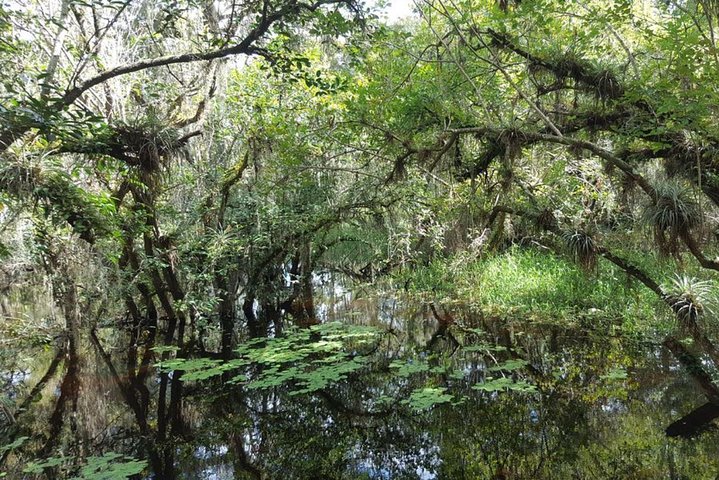 Everglades National Park Biologist Led Adventure: Cruise, Hike + Airboat - Image 3