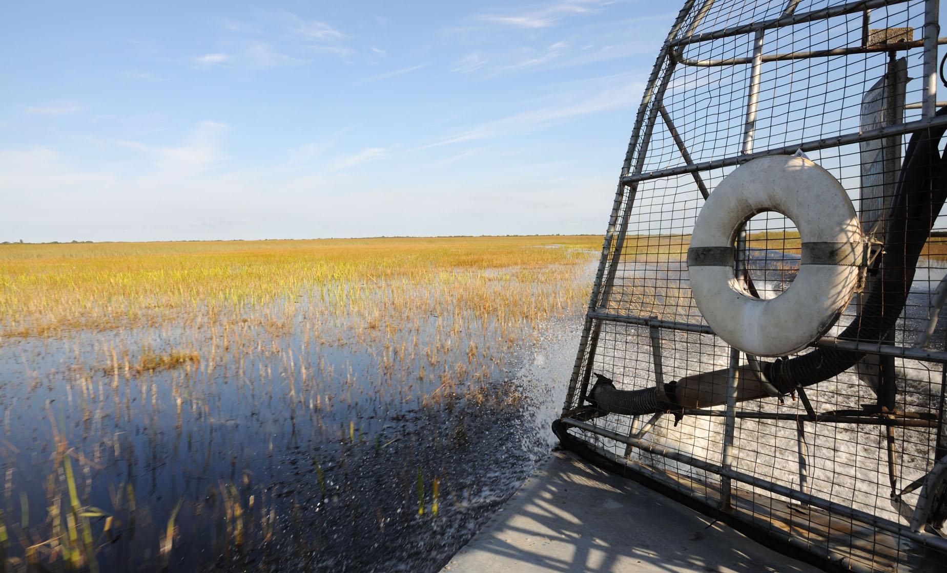 Florida Everglades Airboat and Wildlife Experience - Image 1