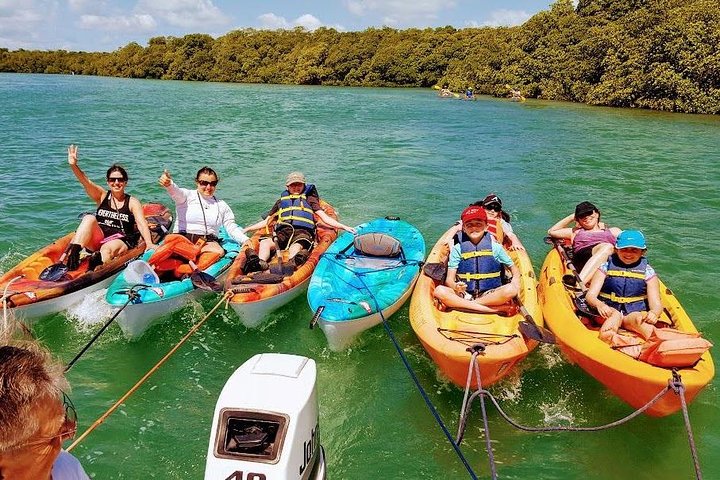 Florida Keys Eco, Paddle, and Snorkel Tour - Image 4