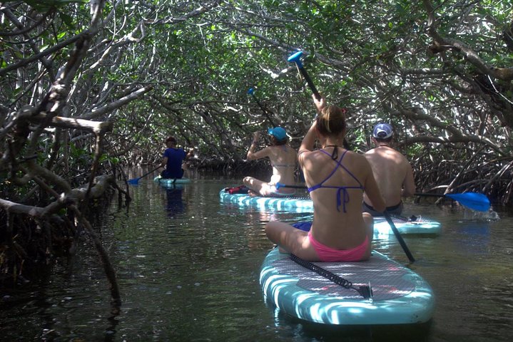 Florida Keys Eco, Paddle, and Snorkel Tour - Image 3