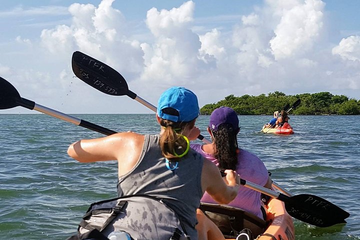 Florida Keys Eco, Paddle, and Snorkel Tour - Image 5