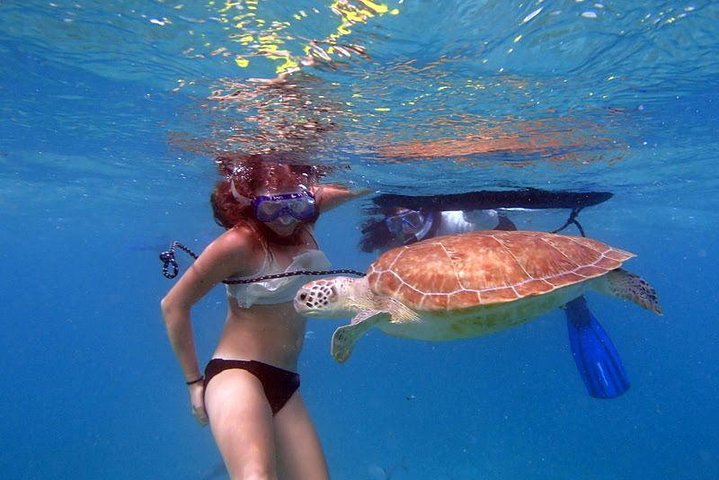 Florida Keys Eco, Paddle, and Snorkel Tour - Image 1
