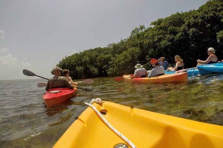 Florida Keys Eco, Paddle, and Snorkel Tour - Image 2