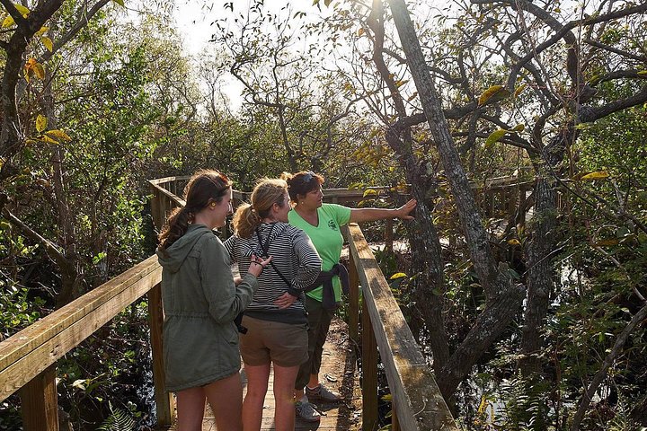 Full Day Everglades: Biologist Led WET walk + 2 boat trips + lunch small group - Image 5