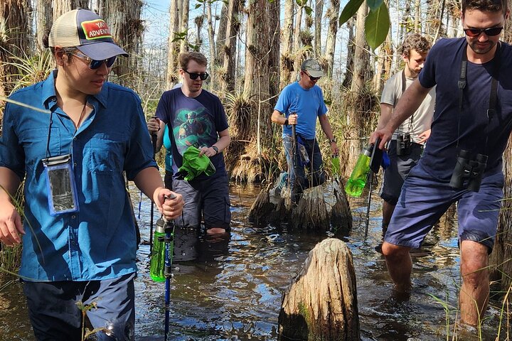 Full Day Everglades: Biologist Led WET walk + 2 boat trips + lunch small group - Image 1
