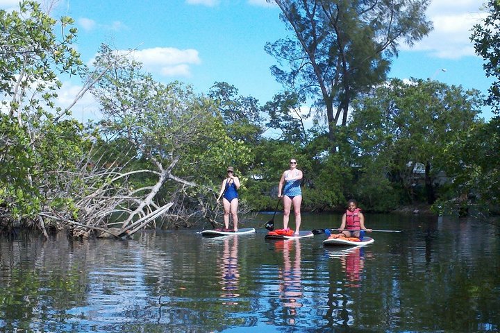 Island City ECO Paddle and Lesson to 9.3 Acre Nature Preserve  - Image 4
