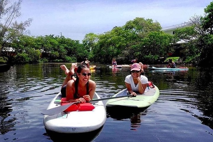 Island City ECO Paddle and Lesson to 9.3 Acre Nature Preserve  - Image 3