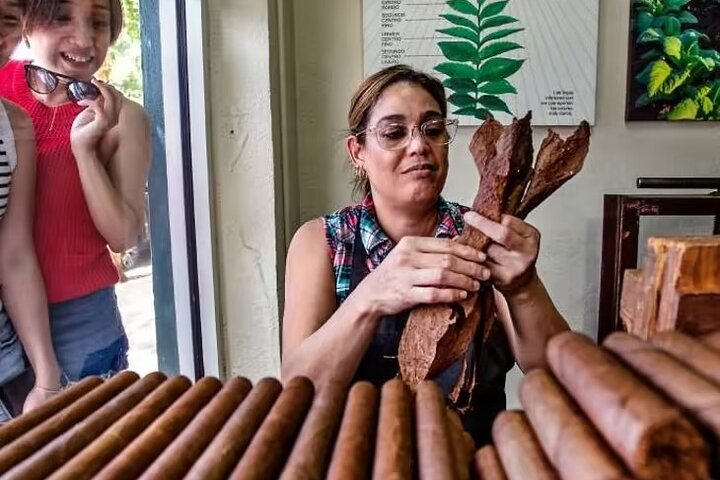 Little Havana Walking Tour + 1 Hour Everglades Airboat Ride - Image 4