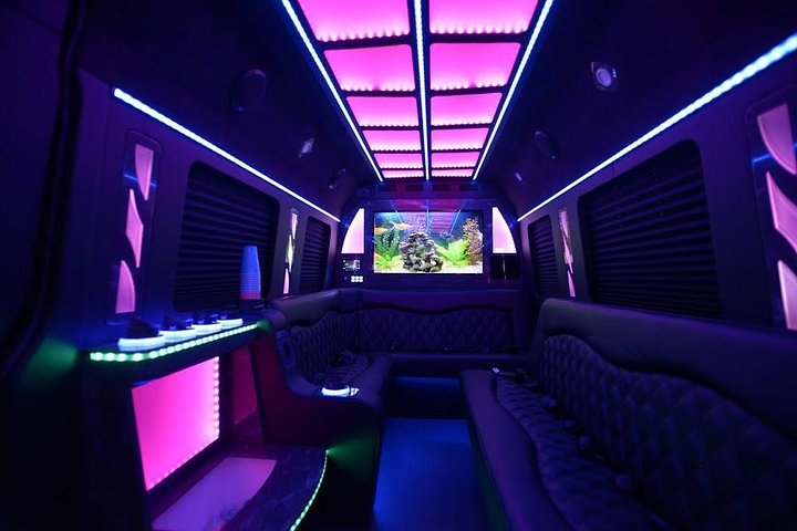 Party Bus Luxury Sprinter Limos - Image 3