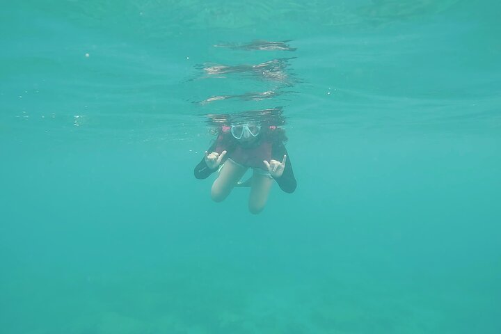 SNORKEL the BEAUTIFUL Reefs with Turtles, Angelfish, and more! - Image 5