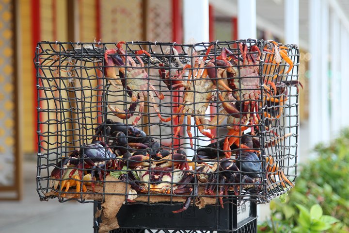 Around Town/Bahamian Cooking Experience - Image 3