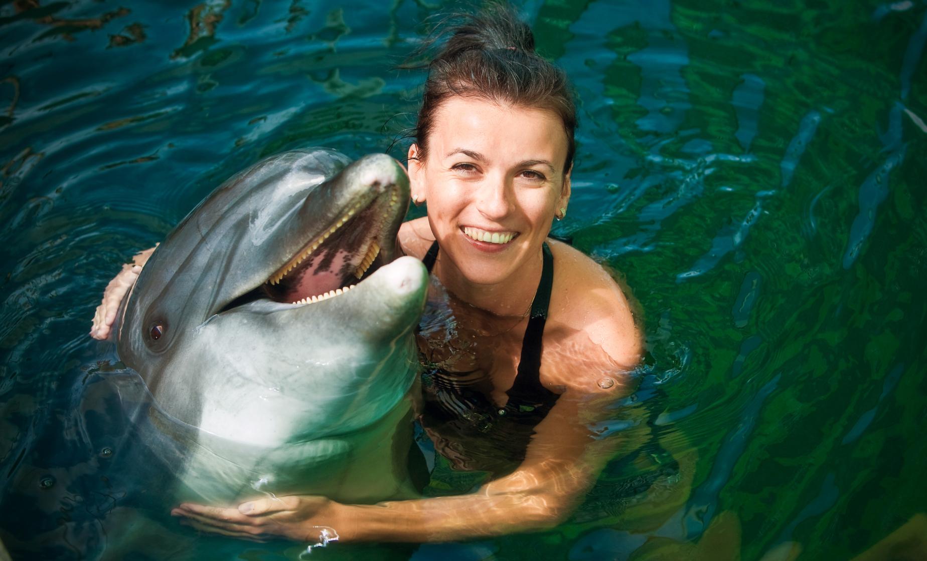 Dolphin Close Encounter - Image 1