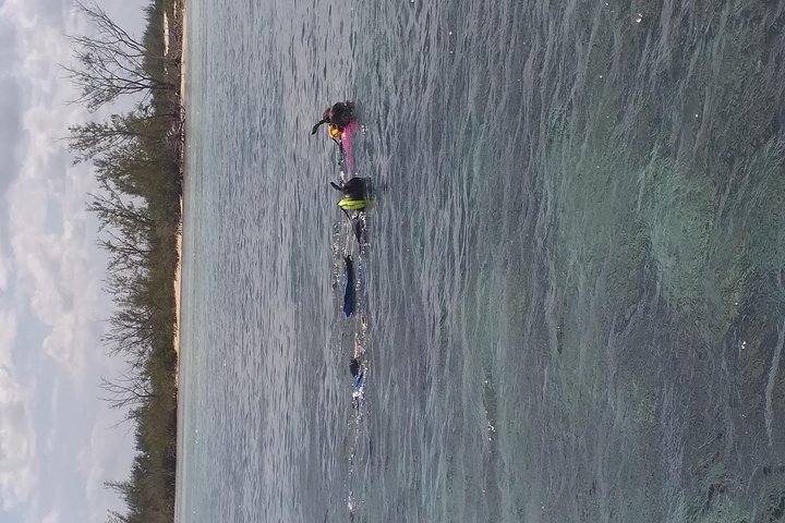 Freeport Shore Excursion: Kayak Turtle Park - Image 5