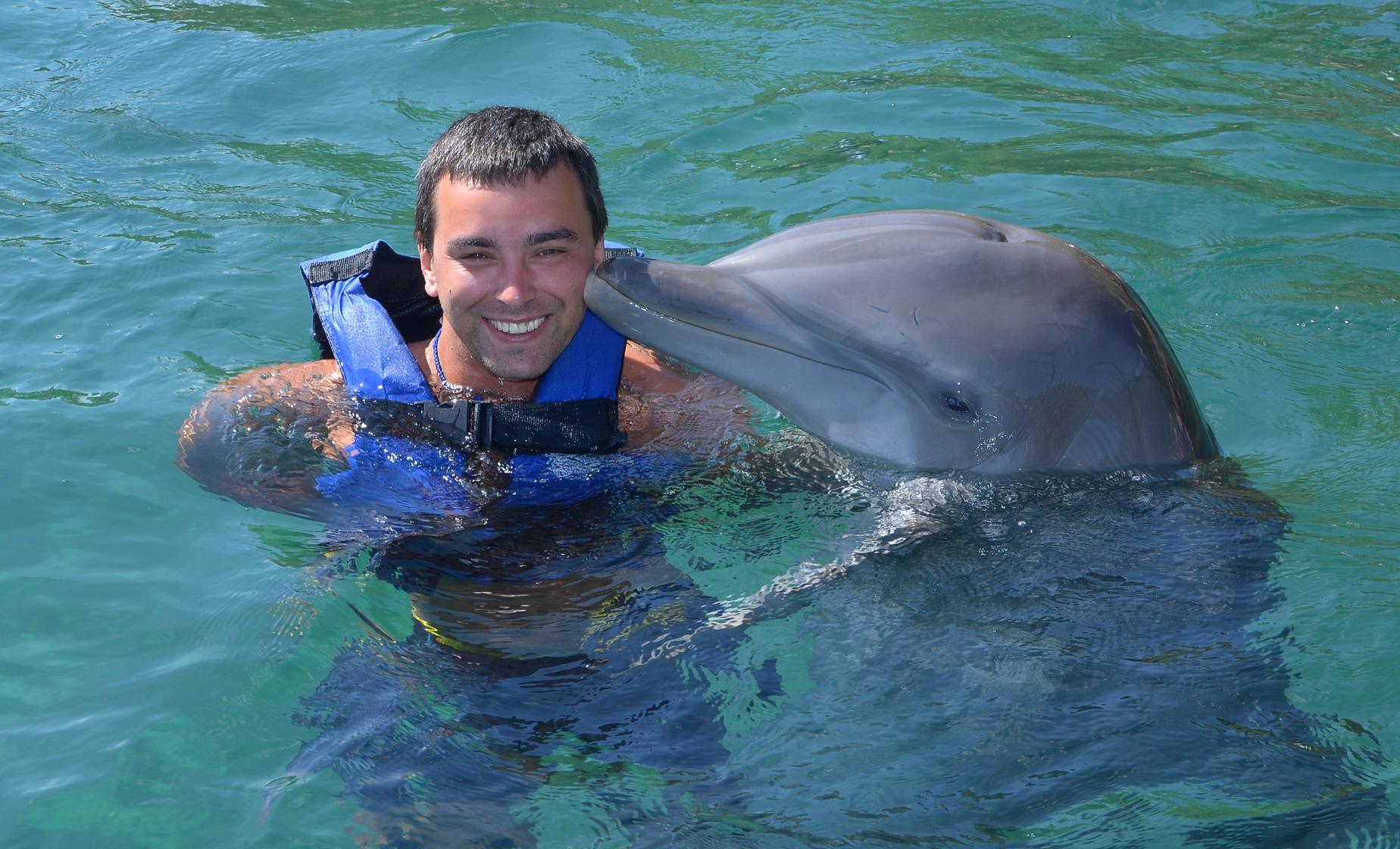 Swim with the Dolphins - Image 1