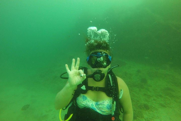 Discover Scuba Diving in Fujirah Dibba  - Image 5