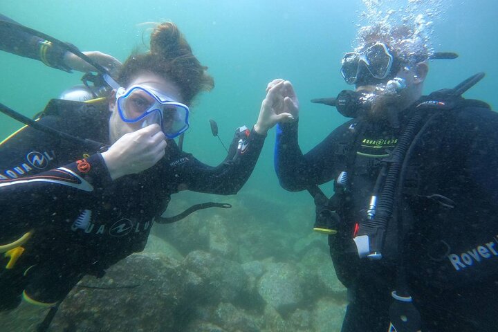 Discover Scuba Diving in Fujirah Dibba  - Image 3