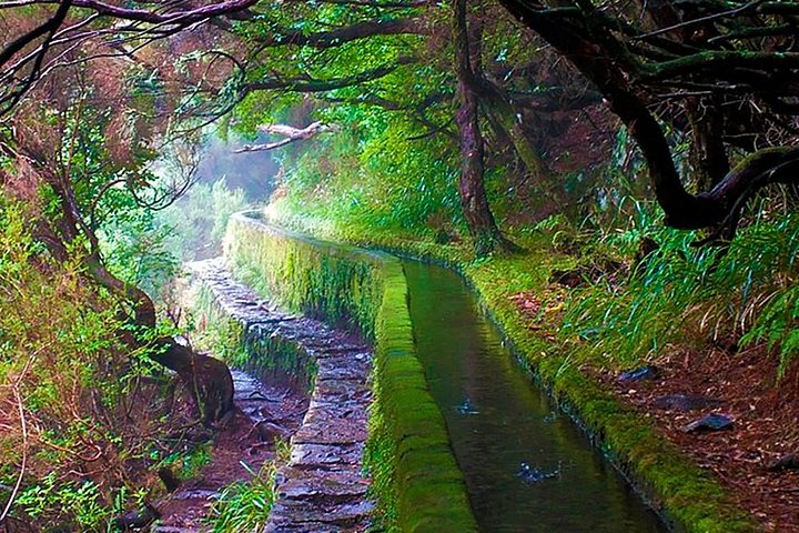 "25 Fountains" Walk / Lost In The Beautiful Forest - Image 2