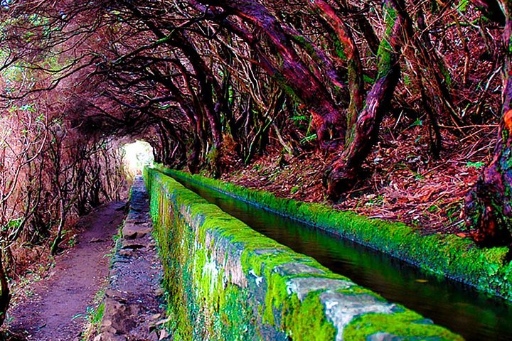 "25 Fountains" Walk / Lost In The Beautiful Forest - Image 5