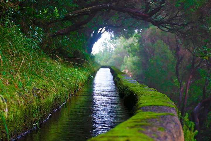 "25 Fountains" Walk / Lost In The Beautiful Forest - Image 3
