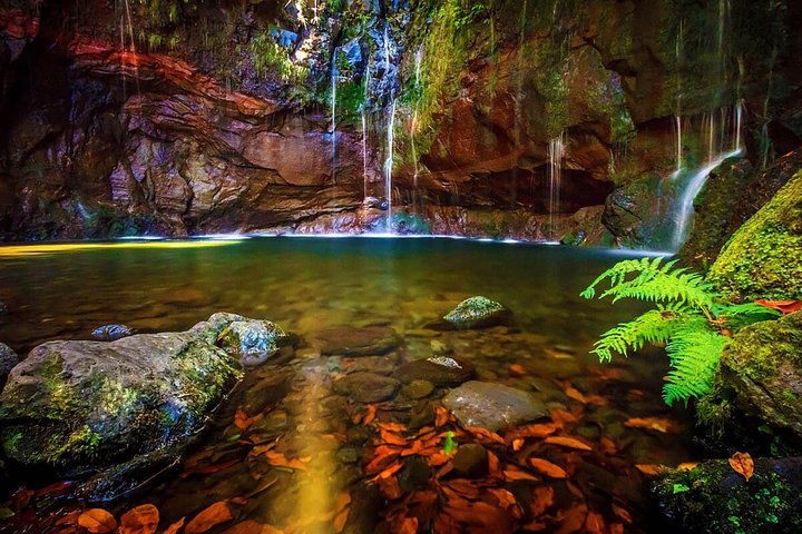 "25 Fountains" Walk / Lost In The Beautiful Forest - Image 1