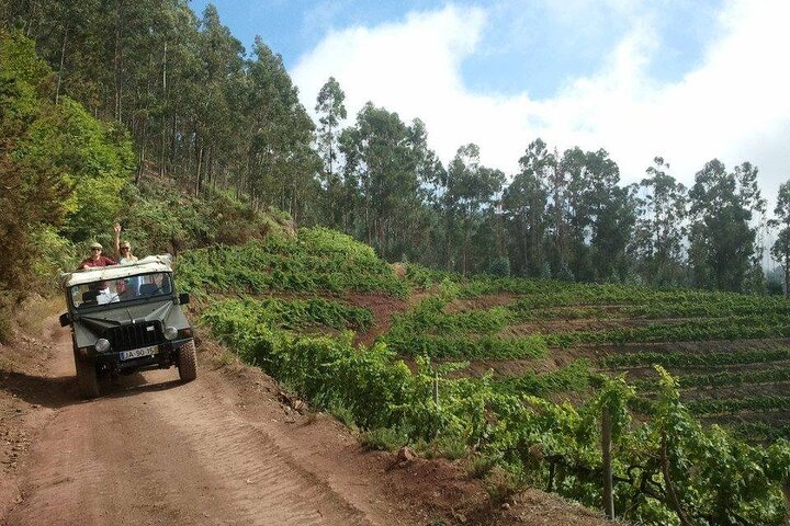 4x4 Safari Half day Poncha, Mountains, Vineyards and Cabo Girão Small group  - Image 1