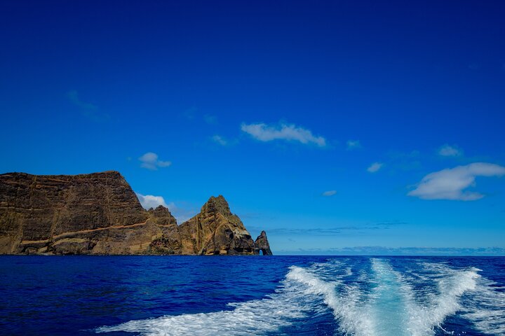All in 1 Experience in Madeira- 4x4 Ride, Hiking, Swimming and Boat Trip - Image 5