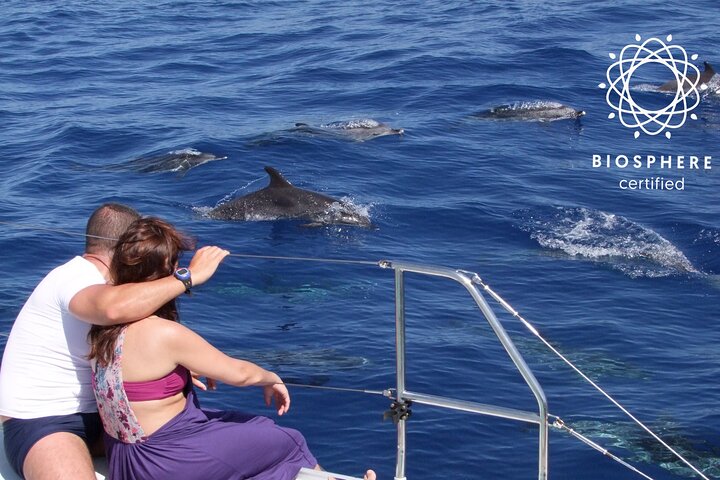 Amazing Skywalk, Cliff & Valleys in 4x4 Tour + Dolphins Watching - Image 1