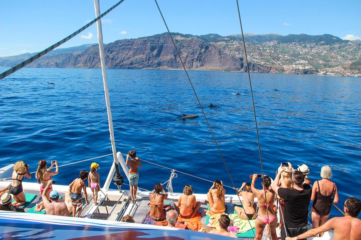 Amazing Skywalk, Cliff & Valleys in 4x4 Tour + Dolphins Watching - Image 3