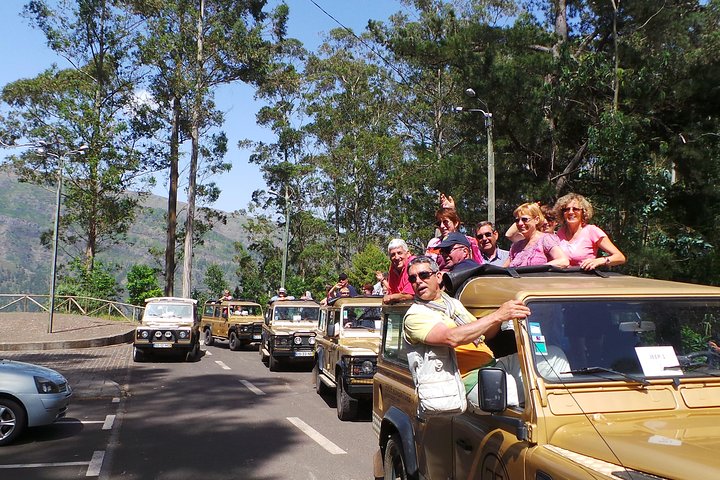 Amazing Skywalk, Cliff & Valleys in 4x4 Tour + Dolphins Watching - Image 5