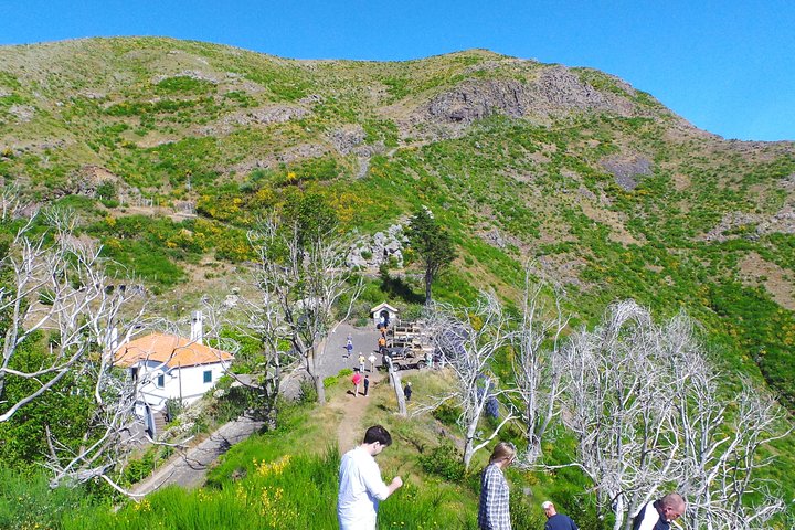 Amazing Skywalk, Madeira Wine Tasting and more... in 4x4 Half day Tour - Image 5