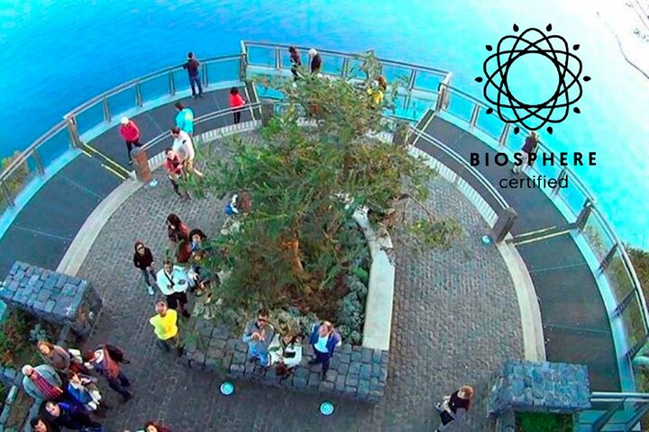 Amazing Skywalk, Madeira Wine Tasting and more... in 4x4 Half day Tour - Image 1